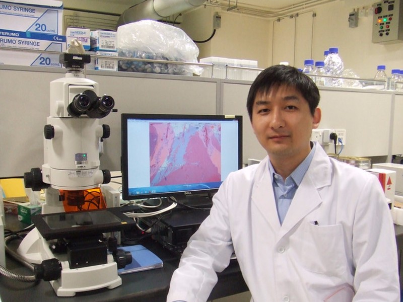 1495444524512699.jpg 13391L510-0.jpg